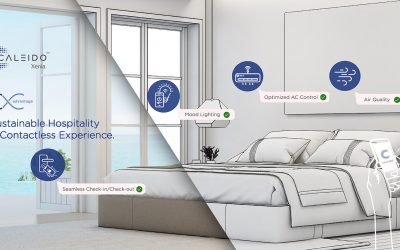 Introducing Caleido Xenia